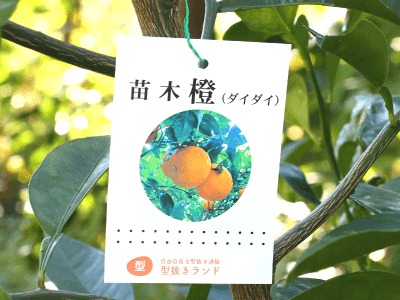 写真2-ワイヤー掛けタイプ