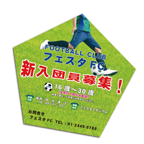 変形フライヤーの形状についてパターン4